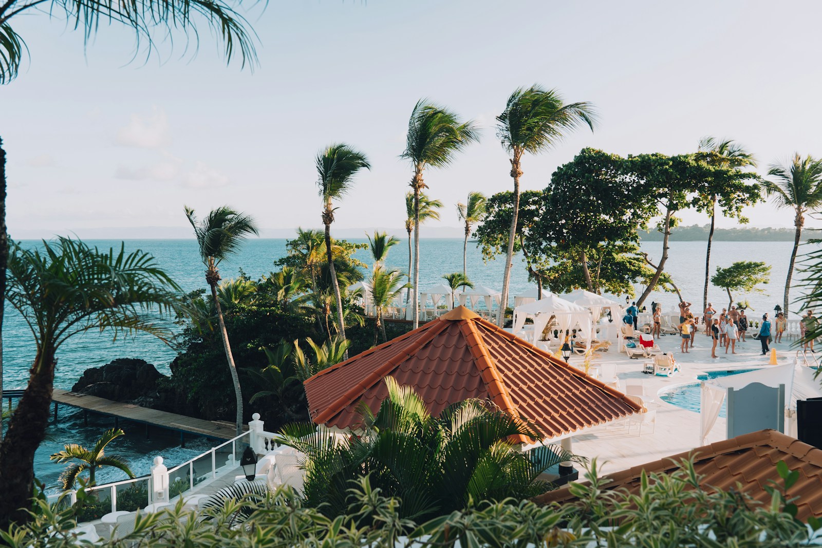 Resort pool lined with palms in the Caribbean